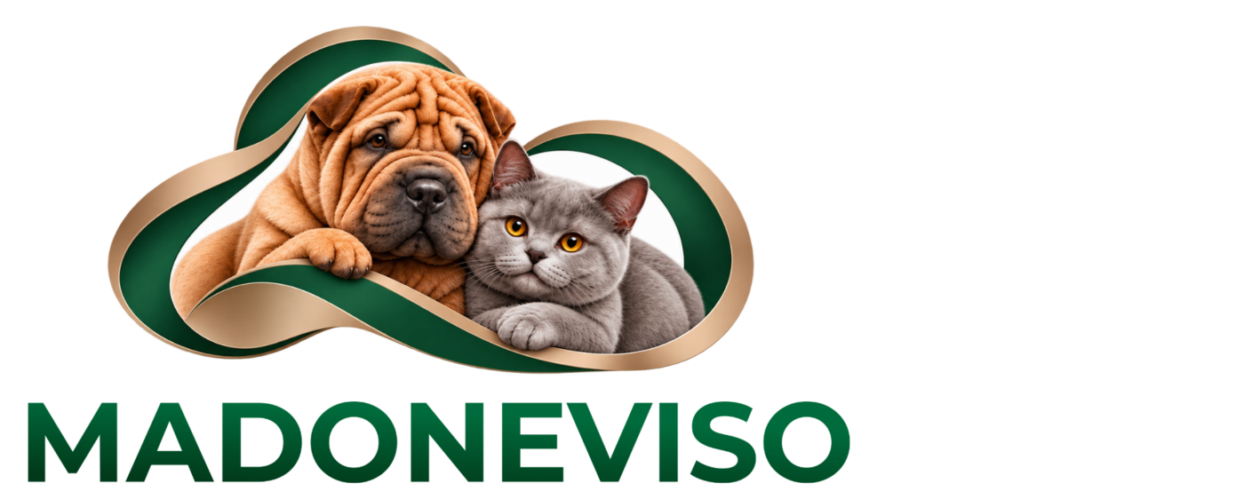 MADONEVISO